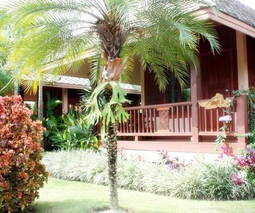 Pai Herbs Resort Camera foto
