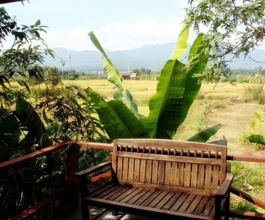 Pai Herbs Resort Camera foto